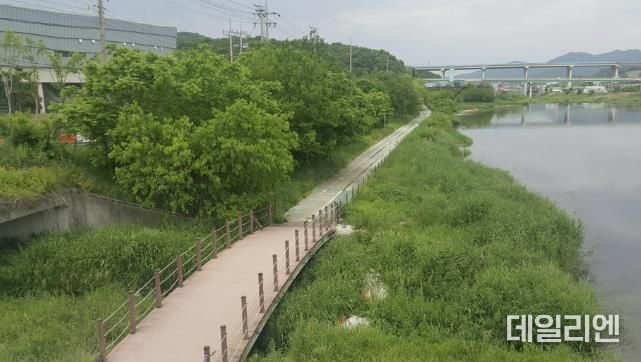 용인특례시의 규제 혁신 노력으로 지난 11월 15일 수변구역에서 해제된 포곡읍 일대